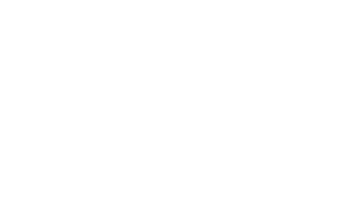 Client 10